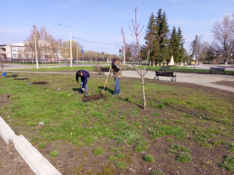 Областной субботник. Областной субботник.